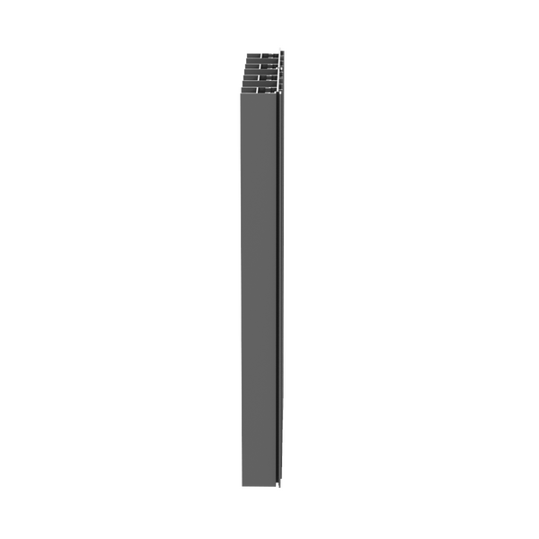 Paralline Fin