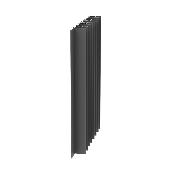Paralline Fin