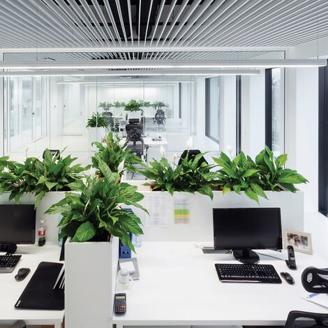 ConceptSystem 59Pa Prozori и CW 50-HI Fasade - Pivexin Technology Headquarter налази се у Babice, Poland